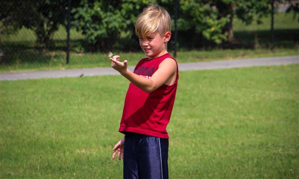 Boy has butterfly land on finger